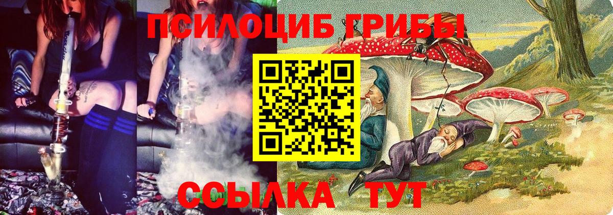 Новокубанск  где продают   Вход с VPN  Галлюциногенные грибы Psilocybine cubensis 