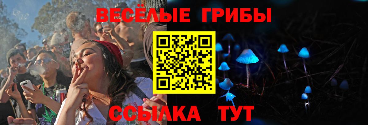 Псилоцибиновые грибы Cubensis Новокубанск